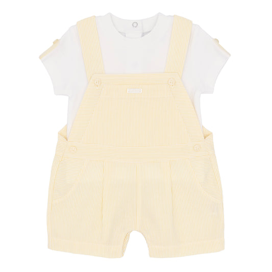 Amore Boys Lemon T Shirt And Bibshort Lemon AM0062AL